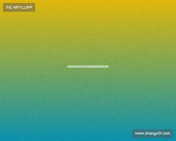 荷兰足协引入创新运动员负荷管理系统提升训练效果与比赛表现